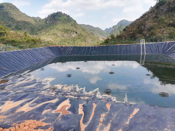 Construction of geomembrane for fish pond culture