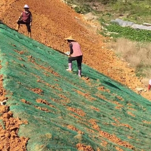 三维植被网施工